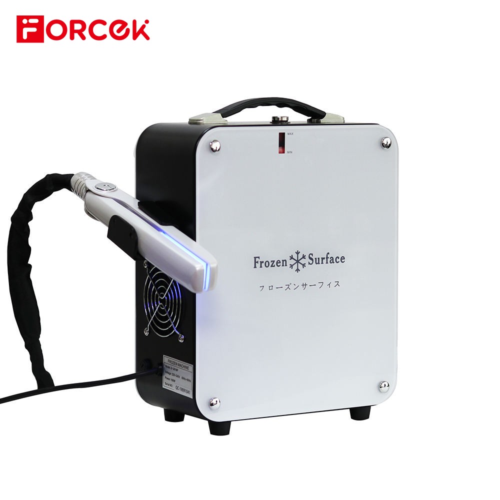 500W Flat Iron Ice Repair Hair Care Frozen Treatment Device