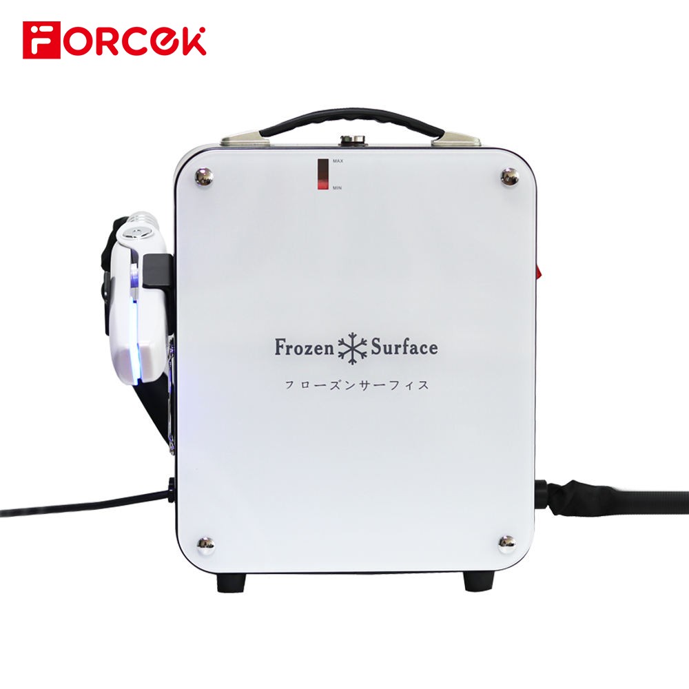 500W Flat Iron Ice Repair Hair Care Frozen Treatment Device