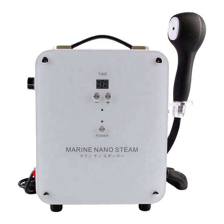 Professional Portable Handheld Hair Spa Steamer YBL2303TS Nano Mist Sprayer for Face Hair Treatment Beauty Salon Use