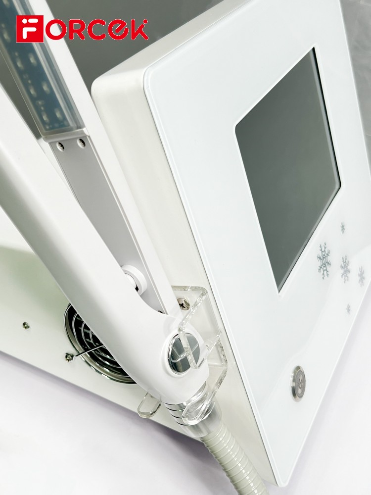 800W Flat Iron Ice Repair Hair Care Frozen Treatment Device