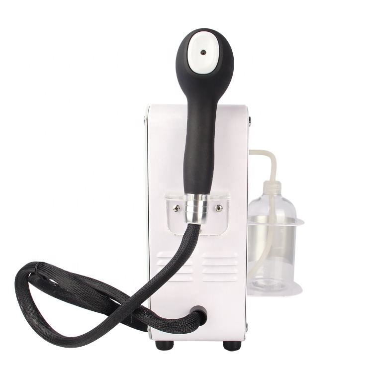 Professional Portable Handheld Hair Spa Steamer YBL2303TS Nano Mist Sprayer for Face Hair Treatment Beauty Salon Use