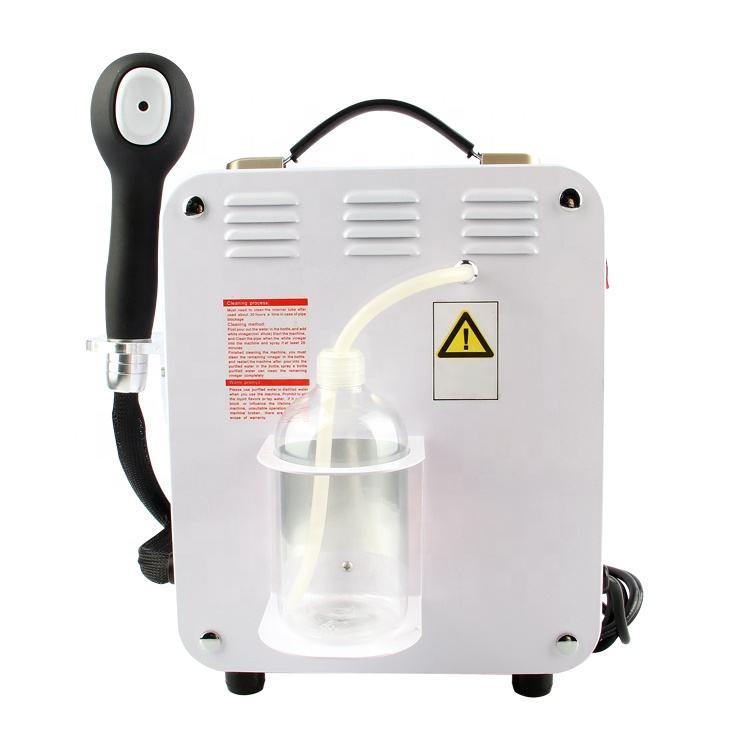 Professional Portable Handheld Hair Spa Steamer YBL2303TS Nano Mist Sprayer for Face Hair Treatment Beauty Salon Use