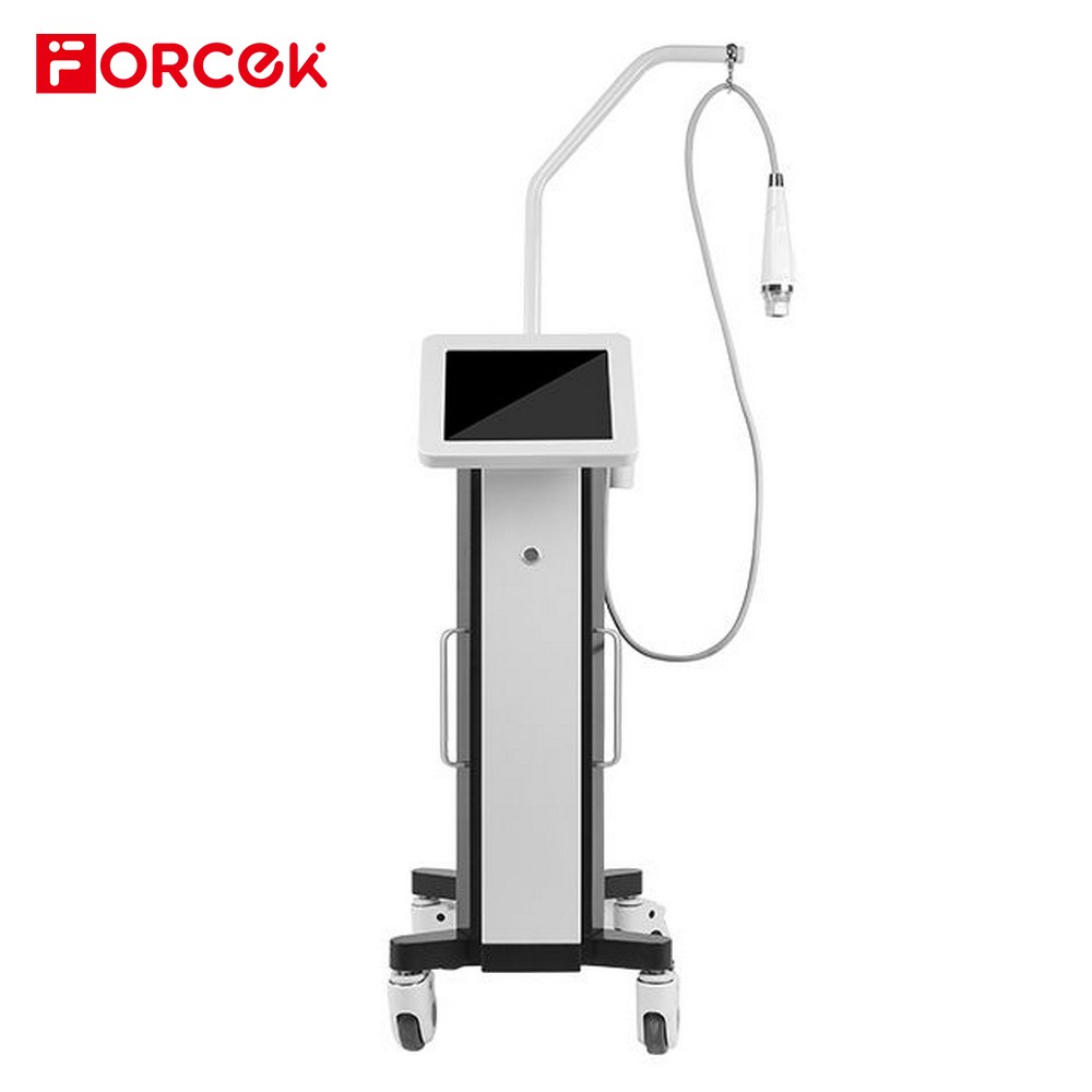 Professional Standing RF Fractional Microneedle Machine For Skin Rejuvenation Remove Frecklee