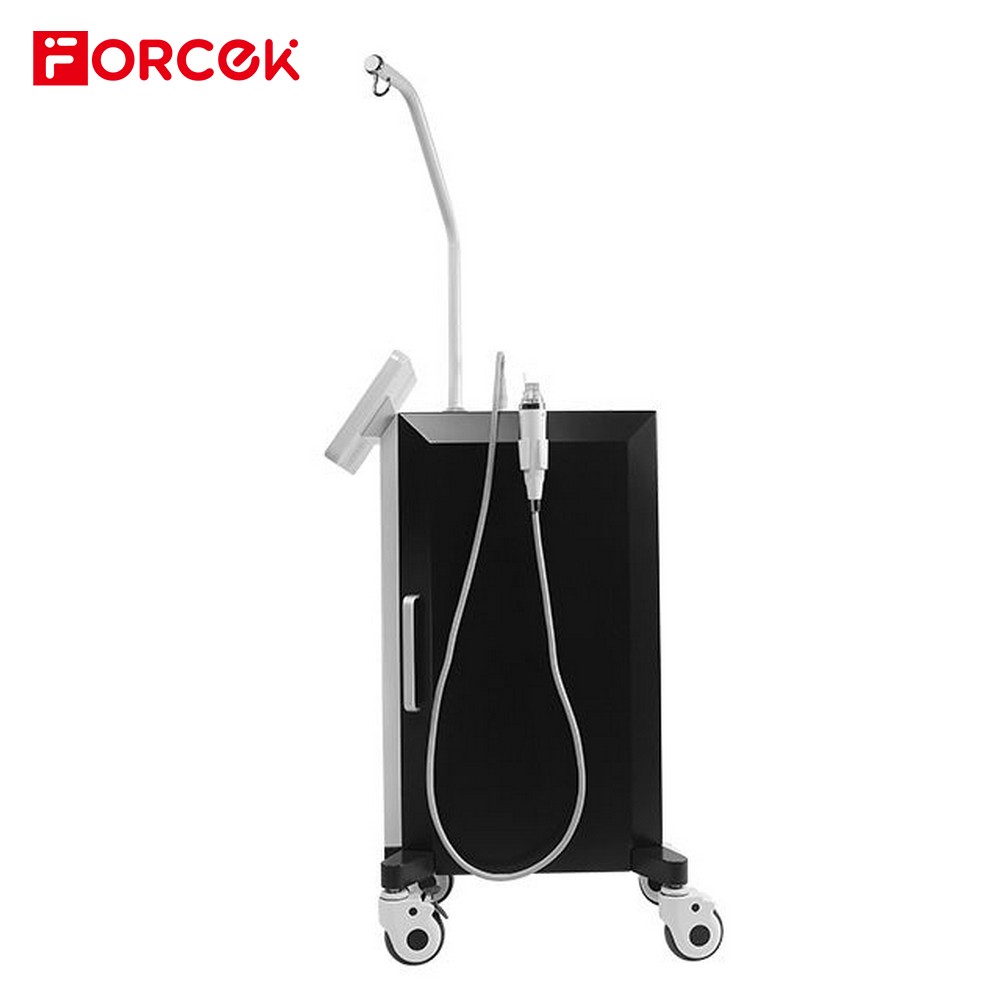 Professional Standing RF Fractional Microneedle Machine For Skin Rejuvenation Remove Frecklee