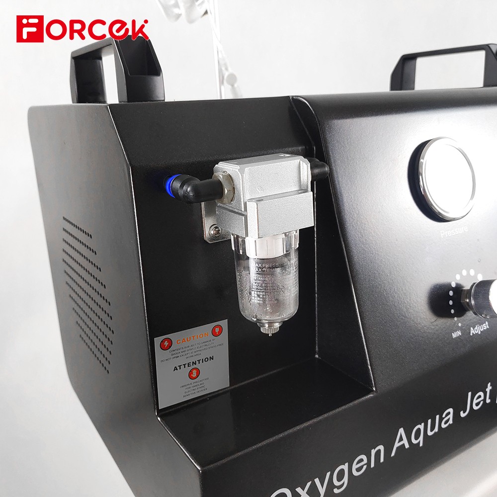 Oxygen Jet Peel and Spray Facial Skin Care Machine Pore Clean Skin Rejuvenation Whitening Acne Treatment Oxygen Injection Device