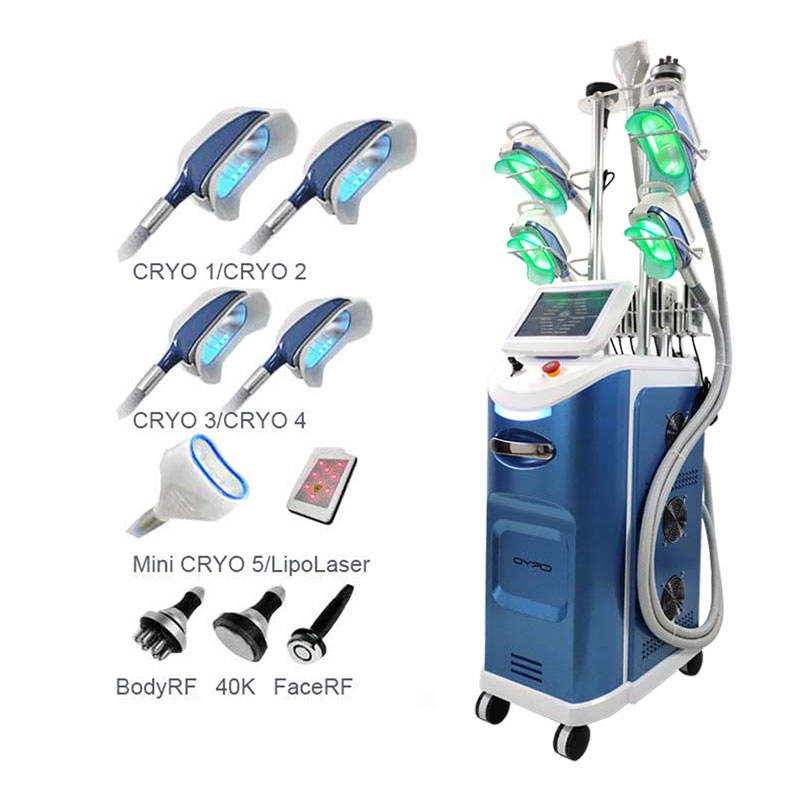 360 Cryolipolyse 5/7 Handles Cryotherapy Machine / Criolipolisis Machine Cryolipolysis Weight Loss