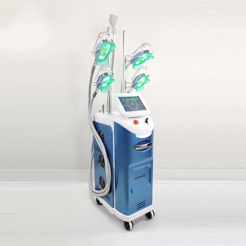 360 Cryolipolyse 5/7 Handles Cryotherapy Machine / Criolipolisis Machine Cryolipolysis Weight Loss