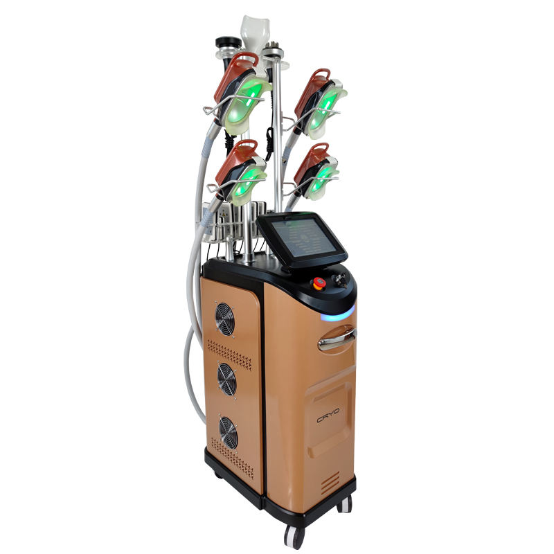 360 Cryolipolyse 5/7 Handles Cryotherapy Machine / Criolipolisis Machine Cryolipolysis Weight Loss