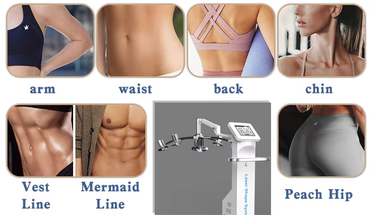 6D Laser 532Nm Wavelength Lipolysis Fat Burning Body Slim Lipo Laser Machine