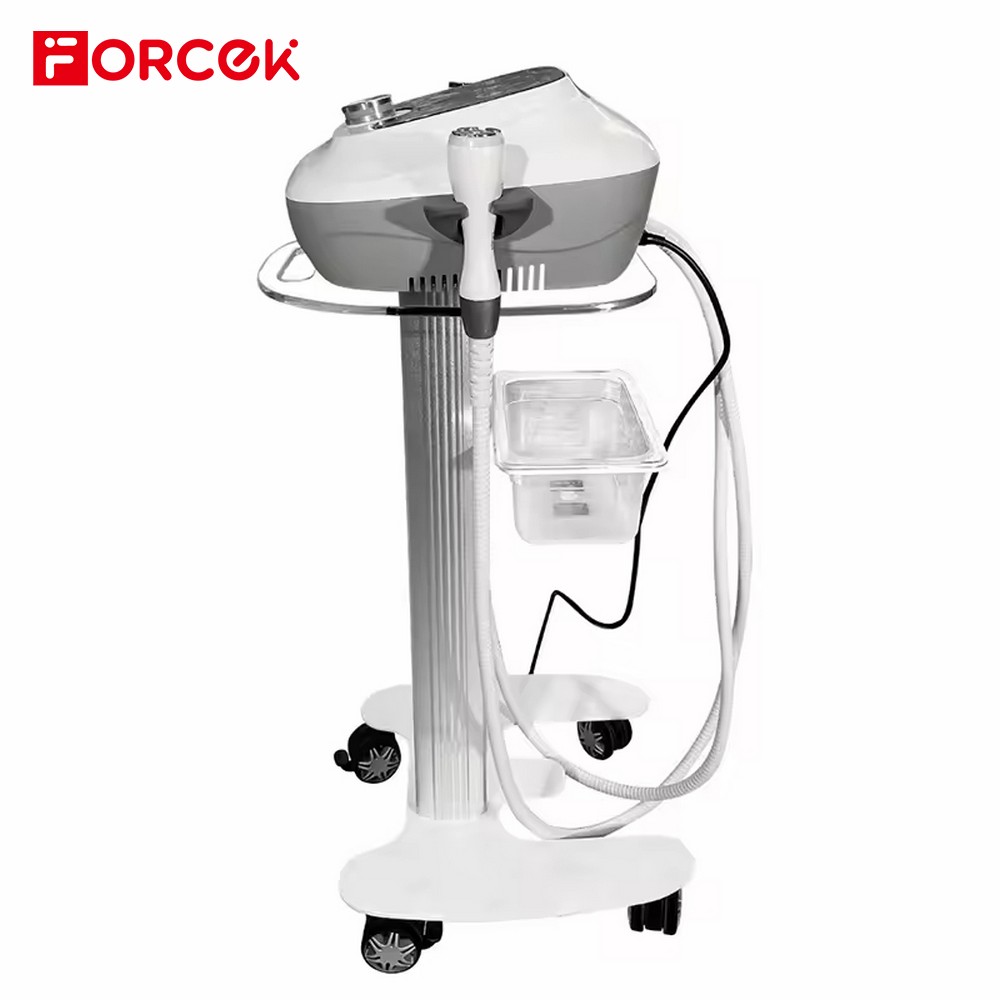 Electroporation Radio Frequency Instrument Skin Rejuvenation Beauty Device