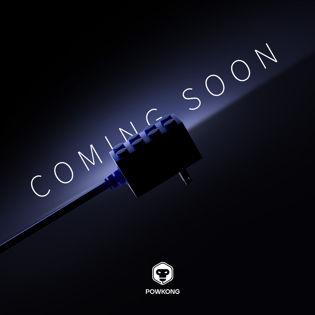 POWKONG Brickgeek Switch 2 Charger coming soon