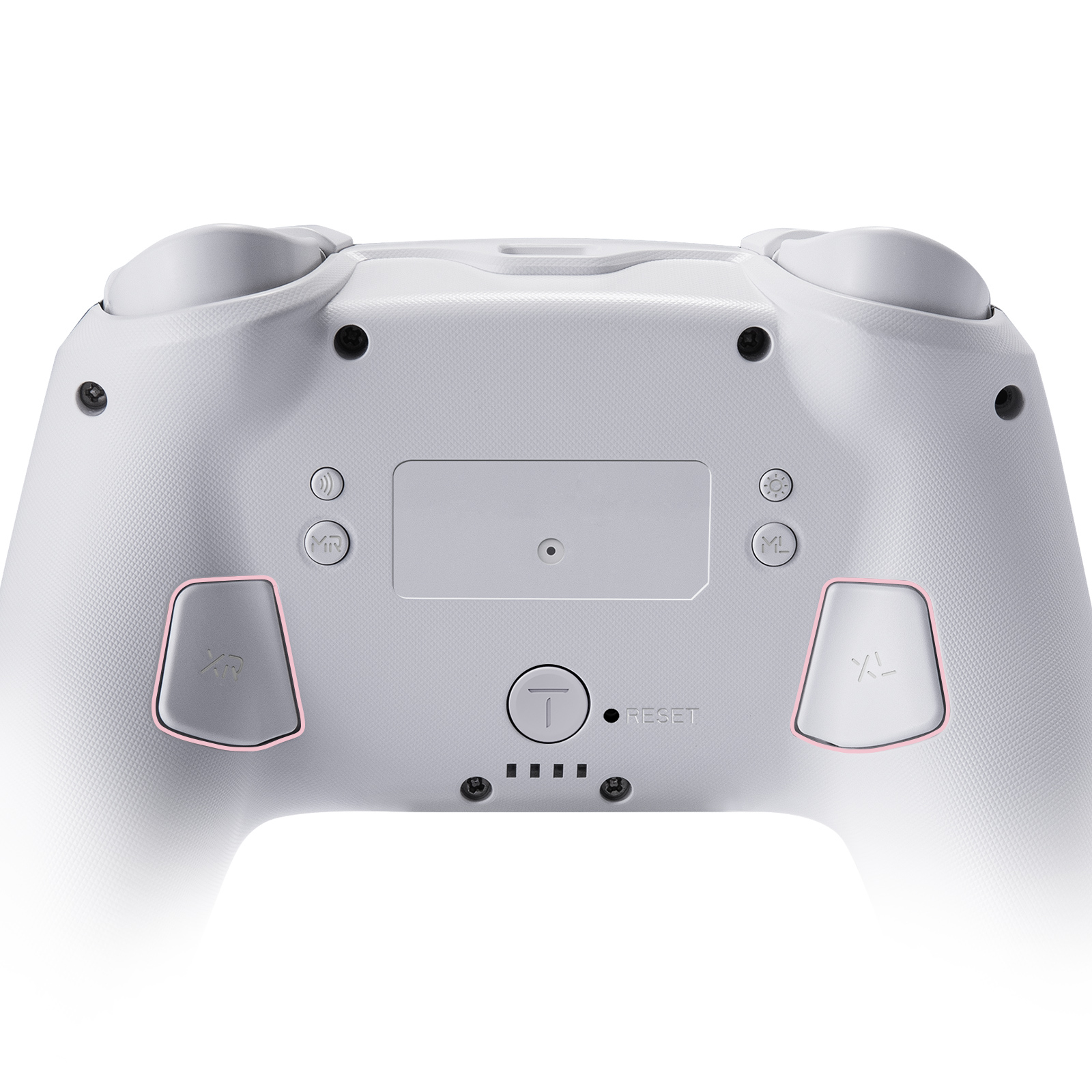 FUNLAB Firefly Pro Wireless Switch Controller - Ghost