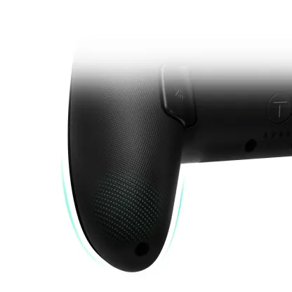 FUNLAB Firefly Switch/Switch2 Pro Controller - Z