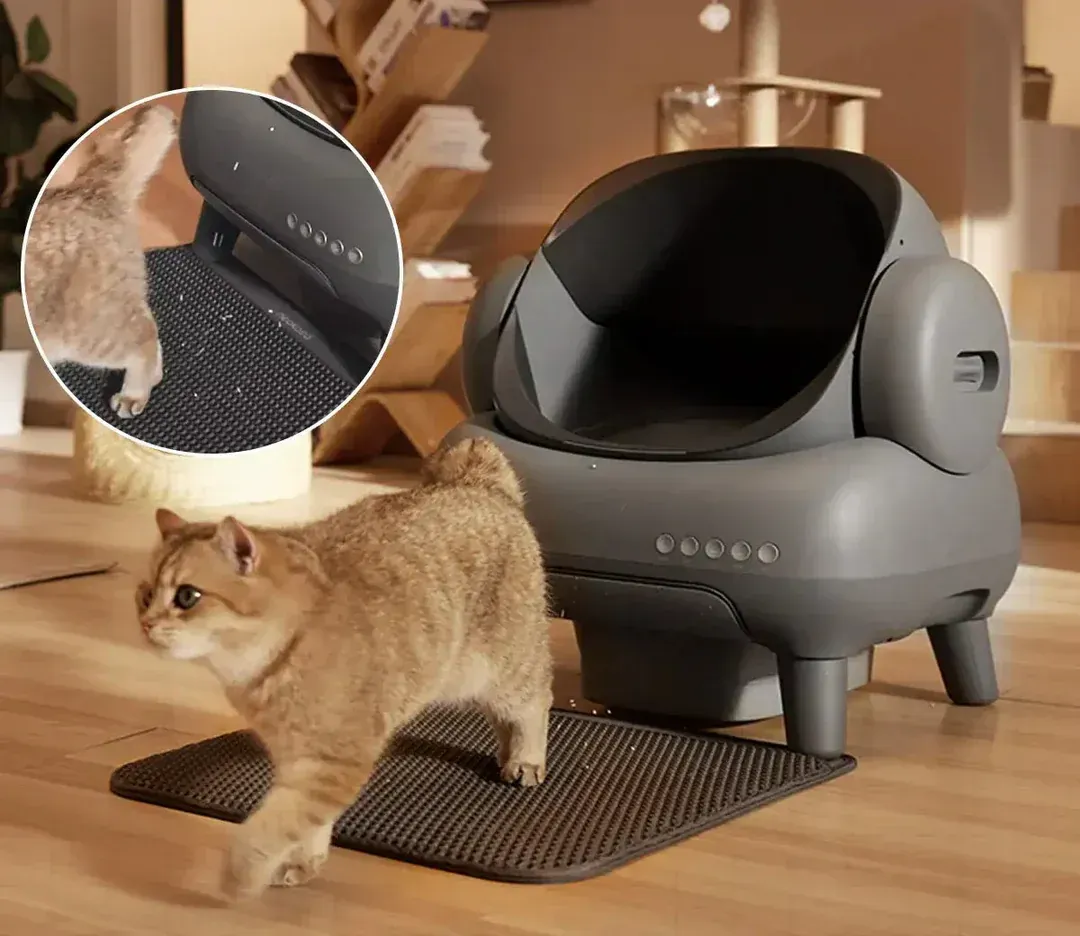 🎉Factory Promotion Open-Top Automatic Self-Cleaning Litter Box