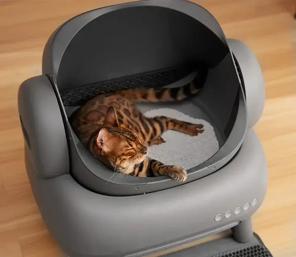 🎉Factory Promotion Open-Top Automatic Self-Cleaning Litter Box