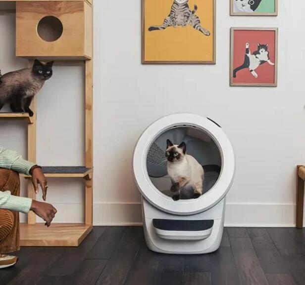 🥳Limited time sale🔥2025 hot model cat litter cleaner
