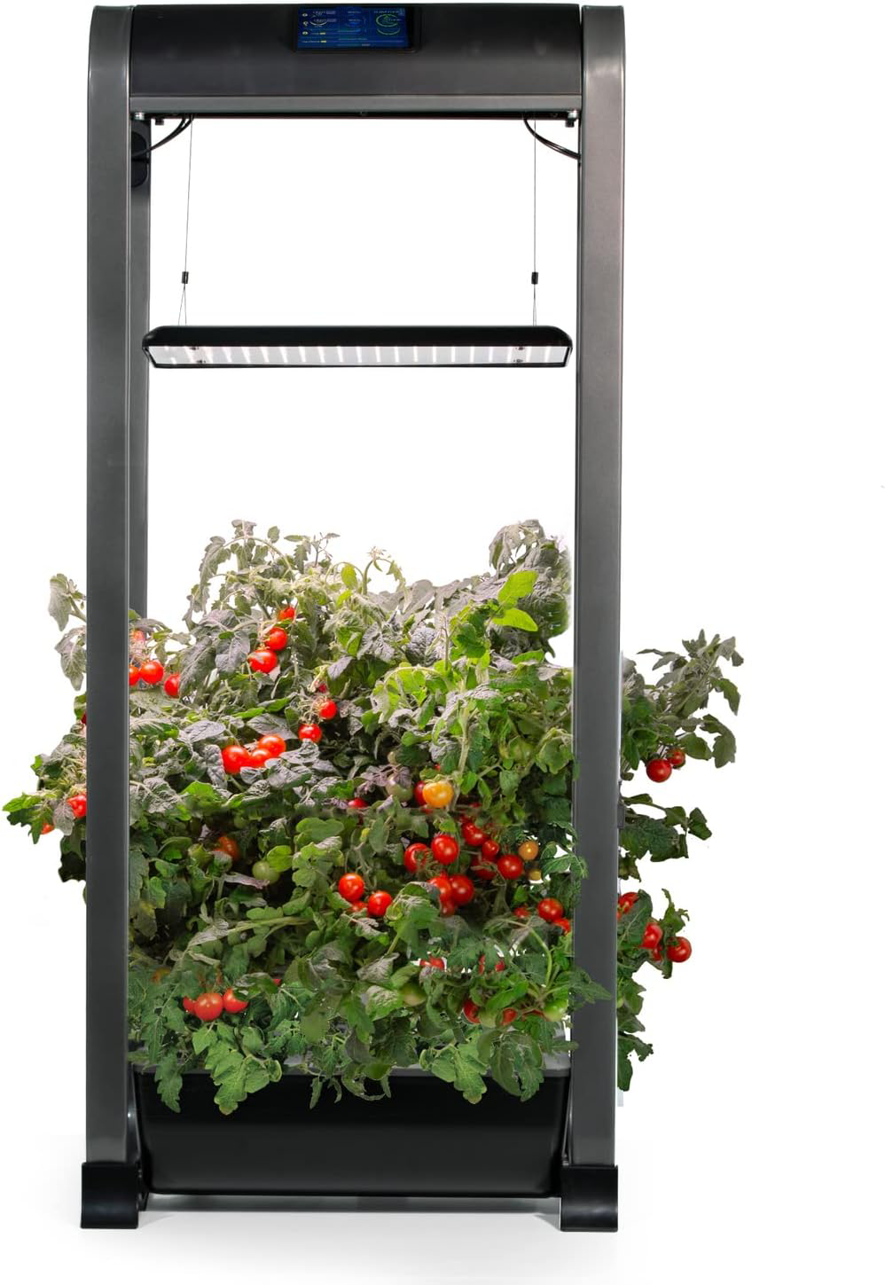 🔥Big Sale🔥Indoor Garden with LED Grow Light