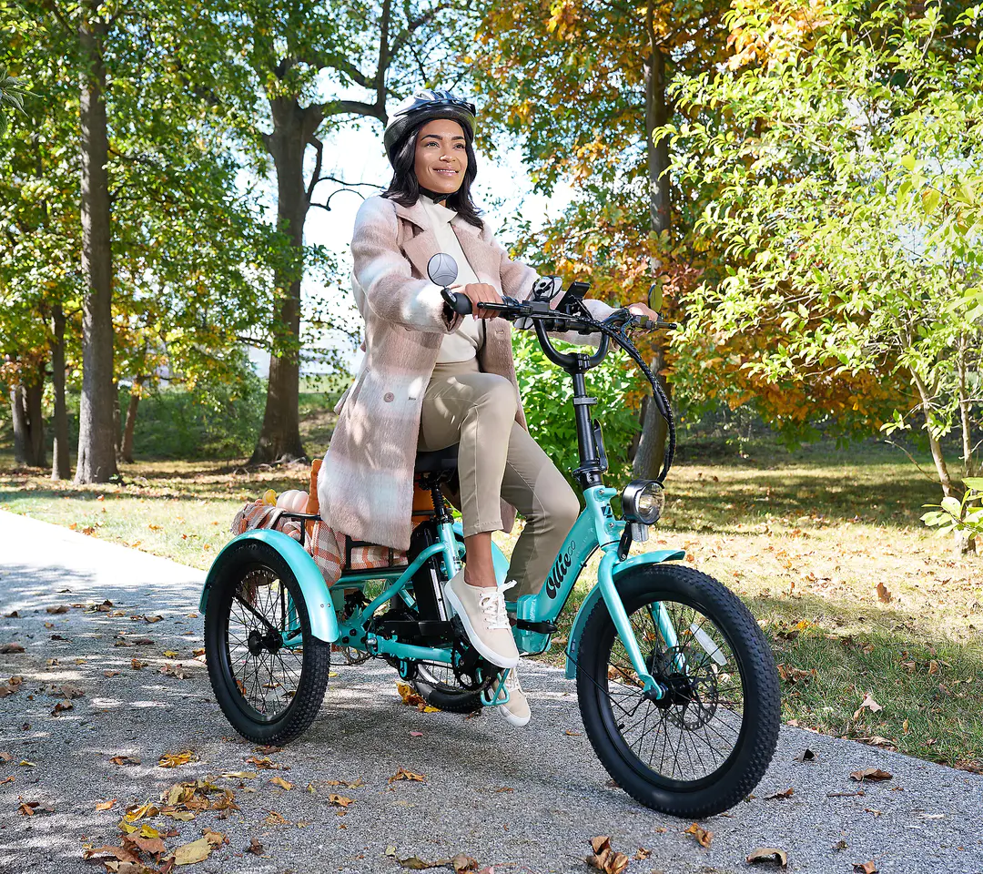 🎉New Arrivals Free Shipping✨Electric Trike