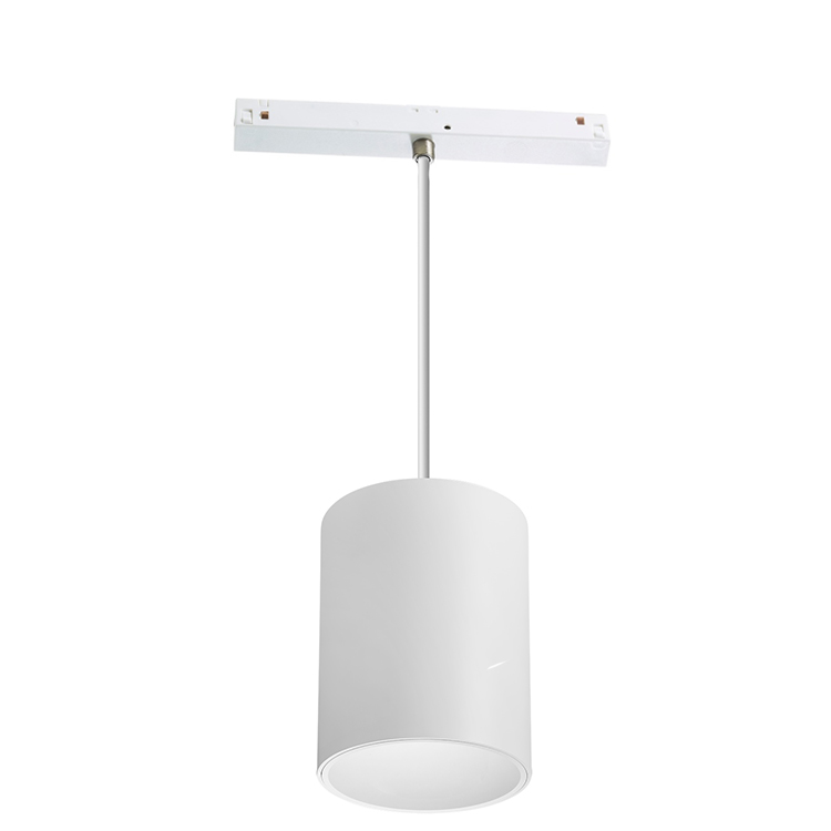 Pendant Track Spot Light ETL&cETL 6W Black White Magnetic Track Light 0-10V Zigbee Tuya Smart Dali Dim Used in Na Market