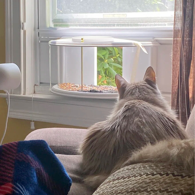 Clear View Window Tray Bird Feeder