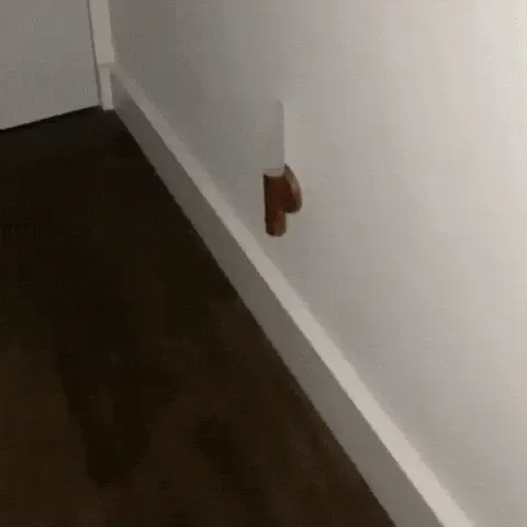 Intelligent Human Sensing Portable Wall Light