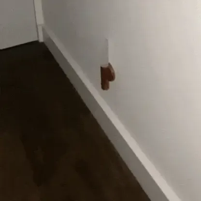 Intelligent Human Sensing Portable Wall Light