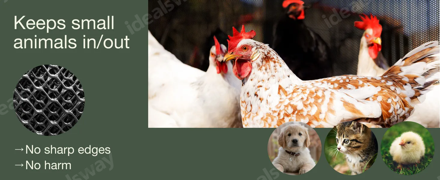 Chicken plastic wire mesh chicken coop home garden backyard plat protector poultry fence netting 