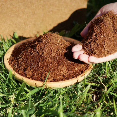 Universal Coconut Brick Nutrient Soil