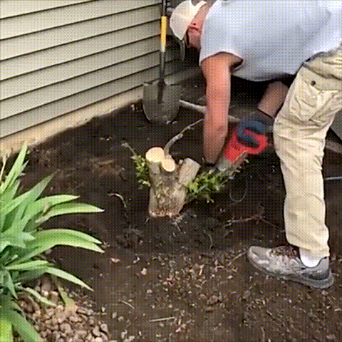 Lilbeat gardening tools