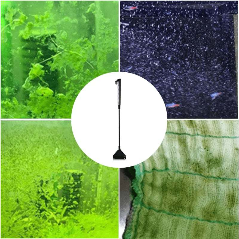 🔥Last Day Promotion 49% OFF - Aquarium Algae Scraper