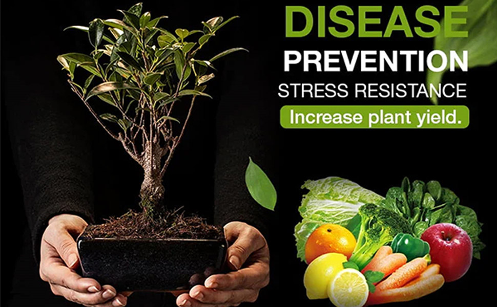 soil activated treasure improve plant growth