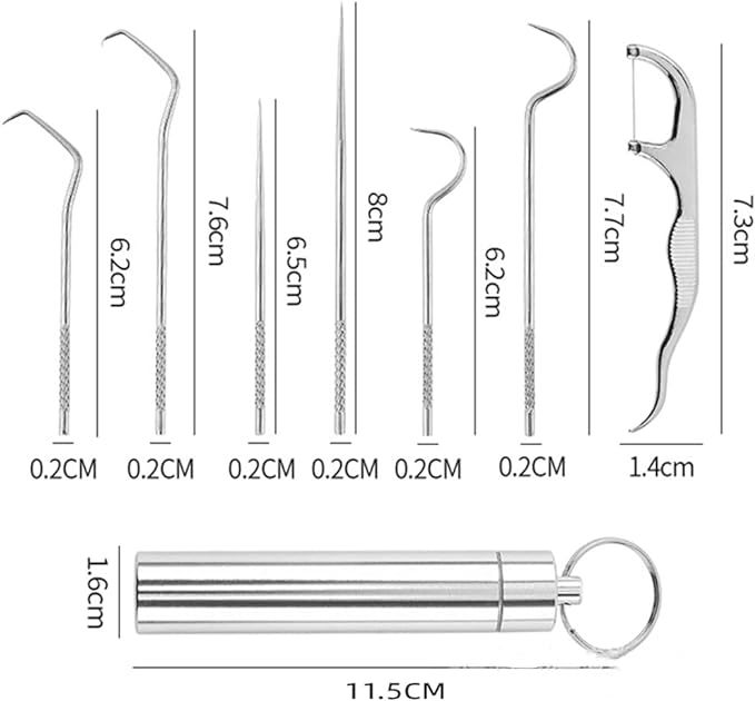 Stainless Steel Toothpick Set
