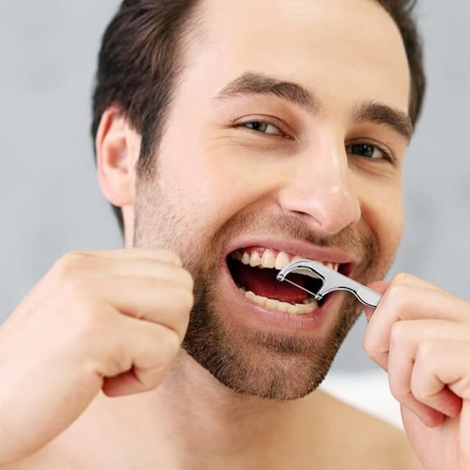 Stainless Steel Toothpick Set