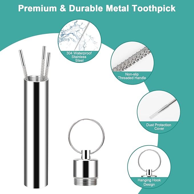 Stainless Steel Toothpick Set