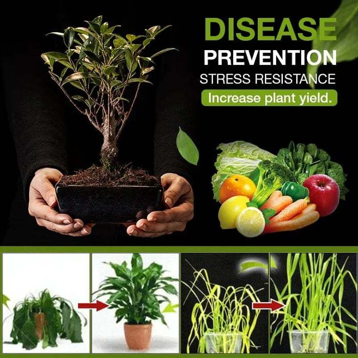 Greenio Soil Activated Treasure