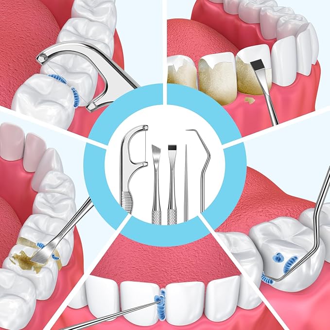 Stainless Steel Toothpick Set