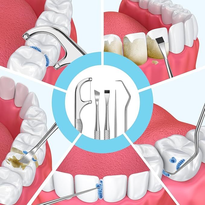 Stainless Steel Toothpick Set