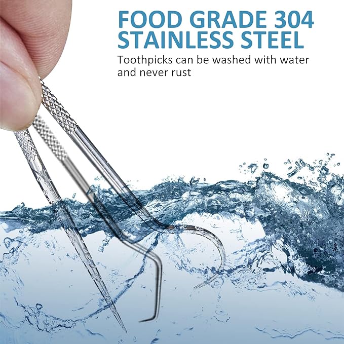 Stainless Steel Toothpick Set