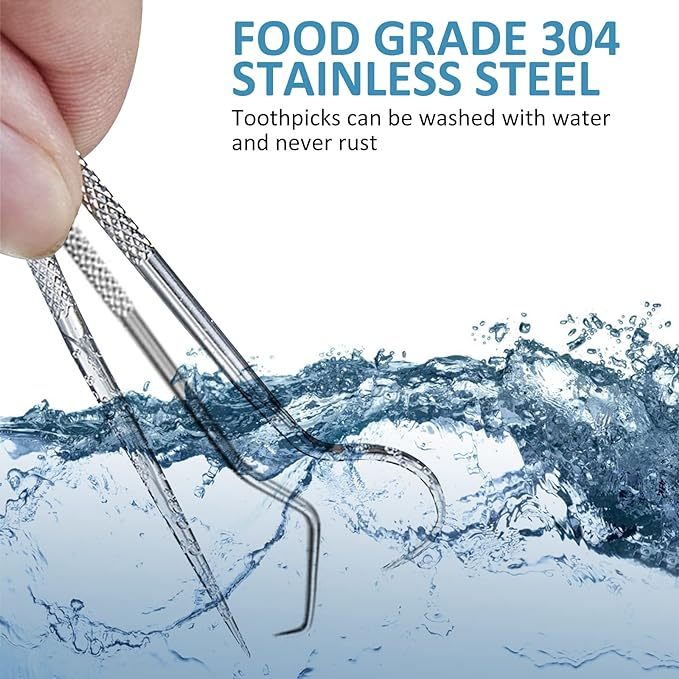 Stainless Steel Toothpick Set