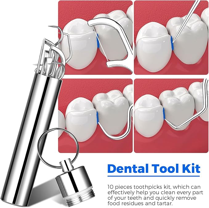 Stainless Steel Toothpick Set