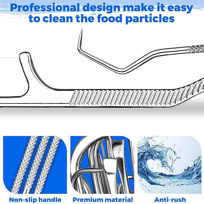Stainless Steel Toothpick Set
