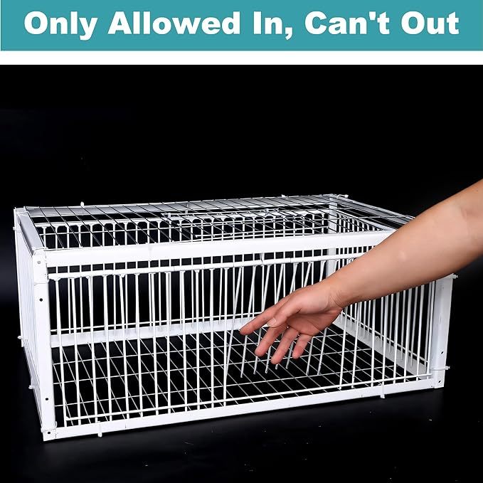 🔥Auto Trap Humane Bird Cage-Entry Only, No Exit, With Base