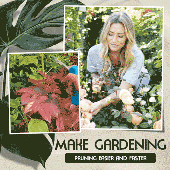 Portable Pointed Gardening Scissor(30% OFF)