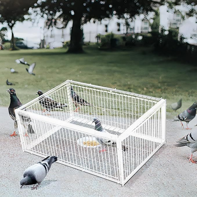 🔥Auto Trap Humane Bird Cage-Entry Only, No Exit, With Base