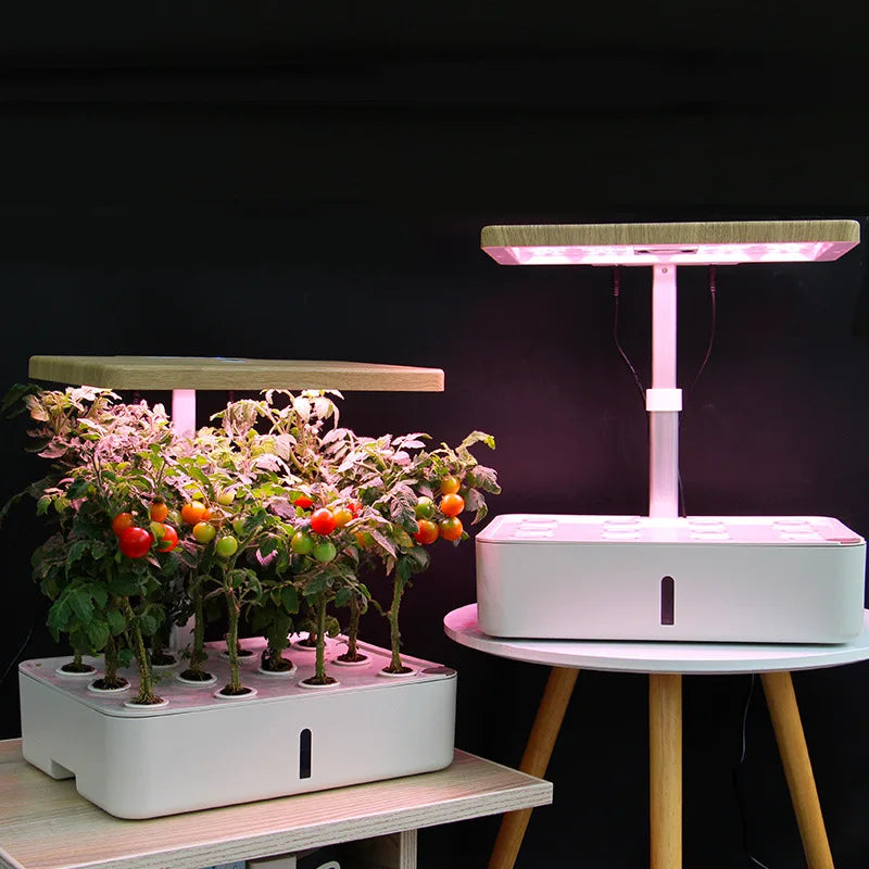 Hydroponic Grow System Plants Grow light Kits Small Indoor Mushroom Mini Growing Hydroponic System For Vegetables