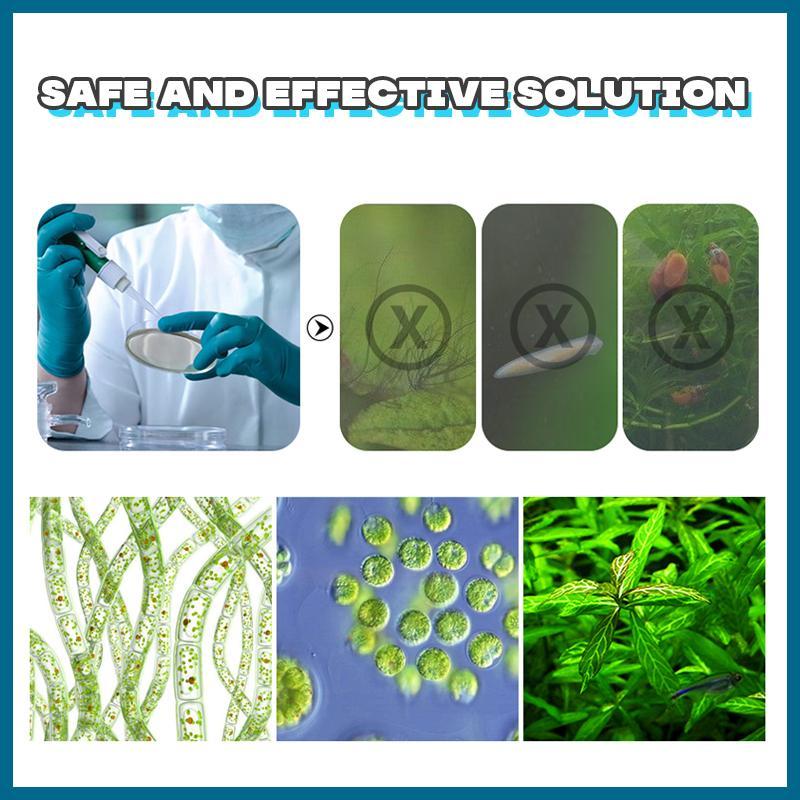 Aquarium Purifier Eco Powder