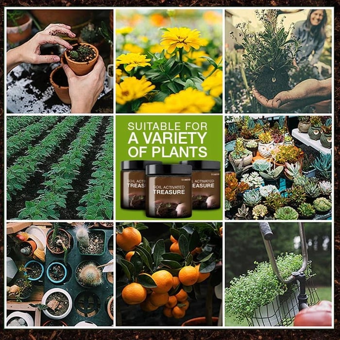 Greenio Soil Activated Treasure