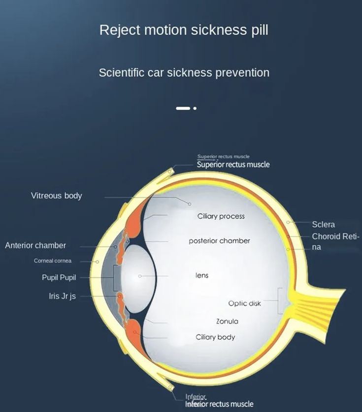 Anti-Motion Sickness Smart Glasses