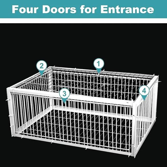 🔥Auto Trap Humane Bird Cage-Entry Only, No Exit, With Base