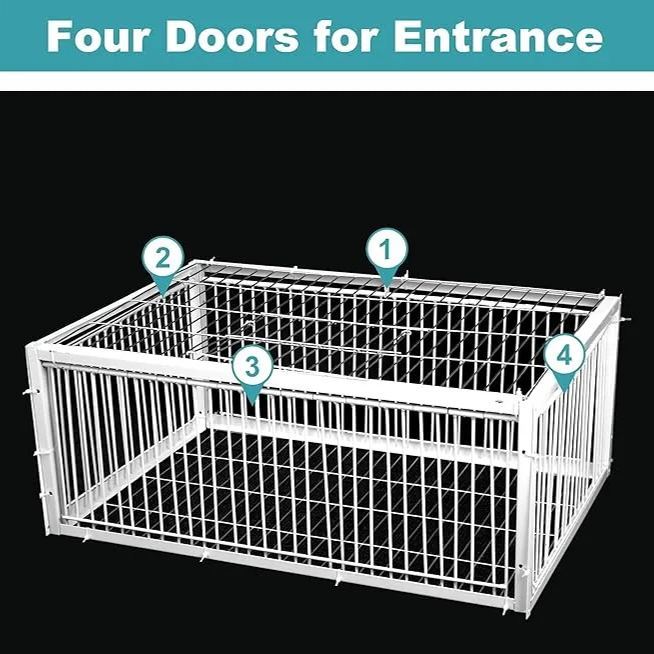 🔥Auto Trap Humane Bird Cage-Entry Only, No Exit, With Base